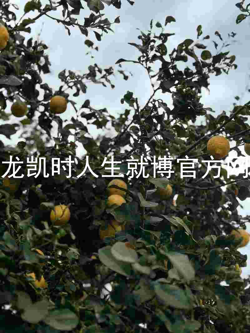 尊龙凯时人生就博官方网站